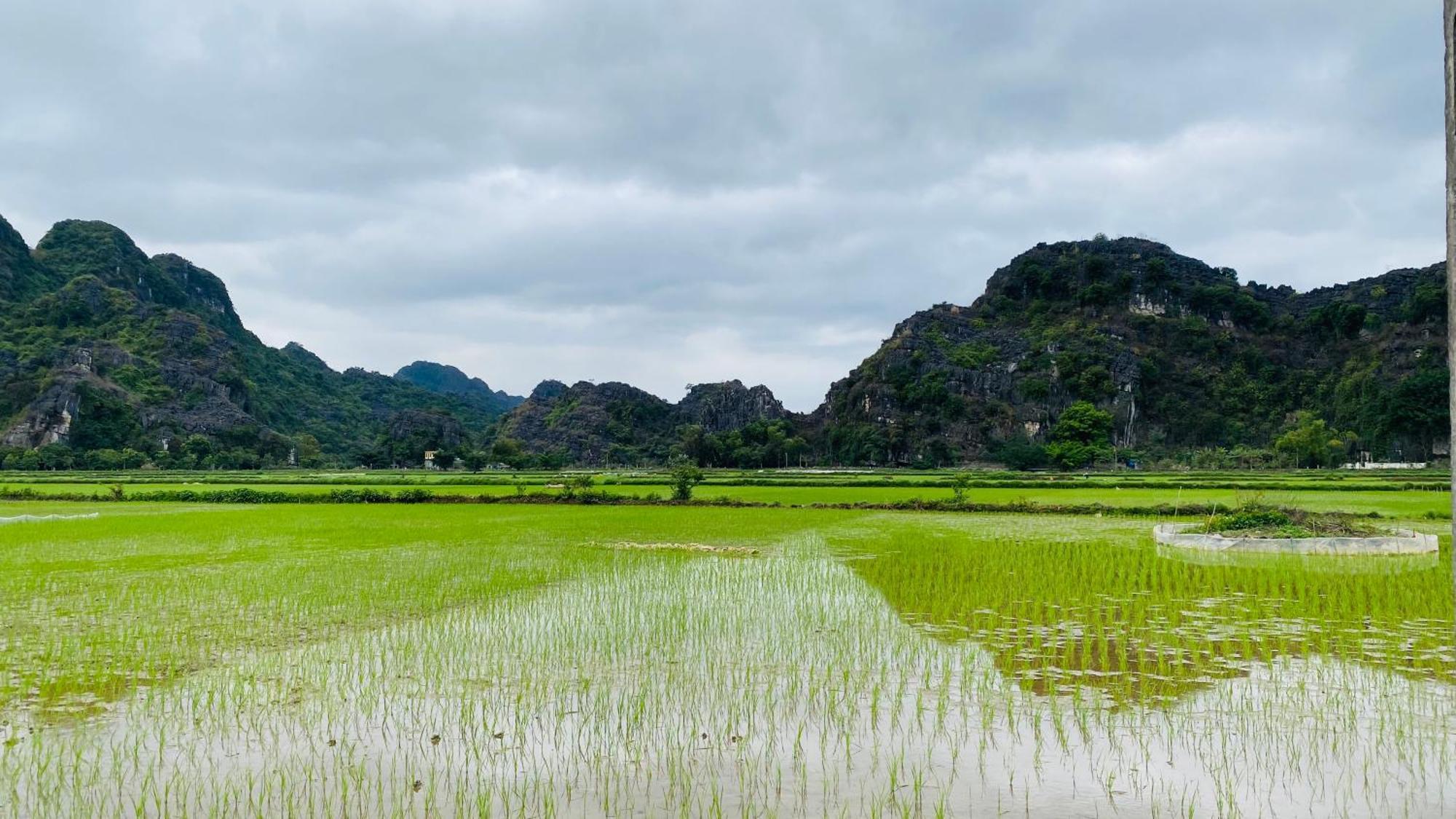 Ohayo Tam Coc Homestay Ниньбинь Экстерьер фото