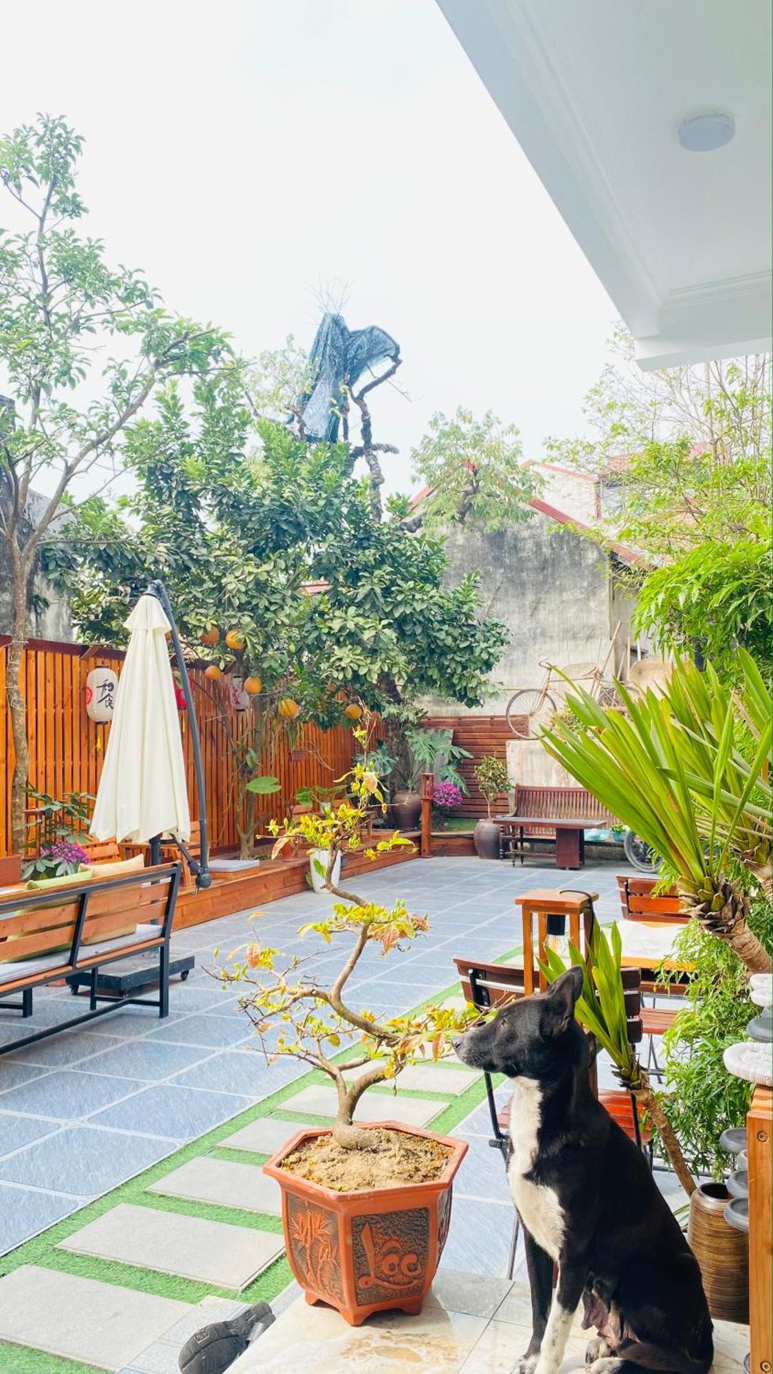 Ohayo Tam Coc Homestay Ниньбинь Экстерьер фото